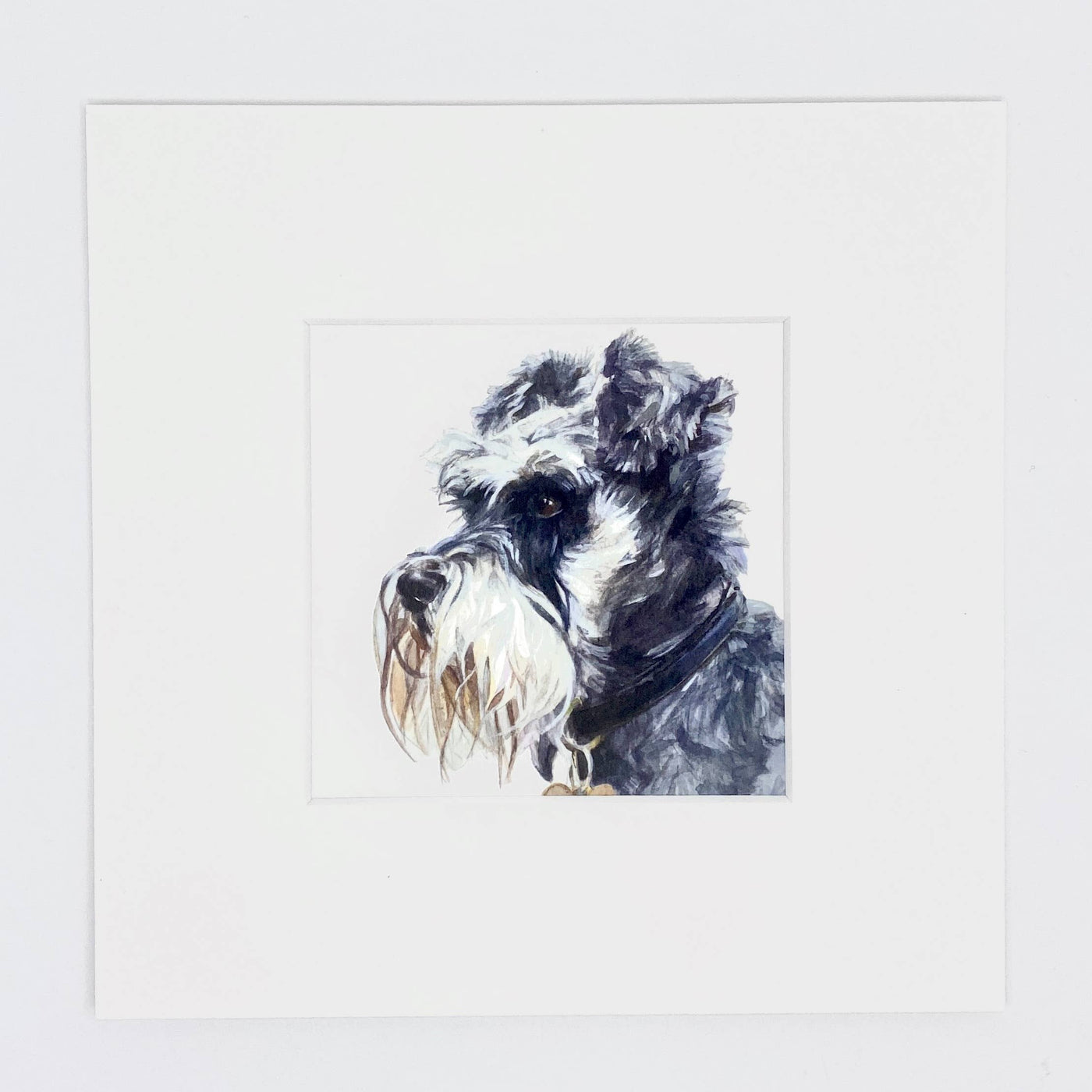 Susel & Co Schnauzer - Quadratischer Kunstdruck