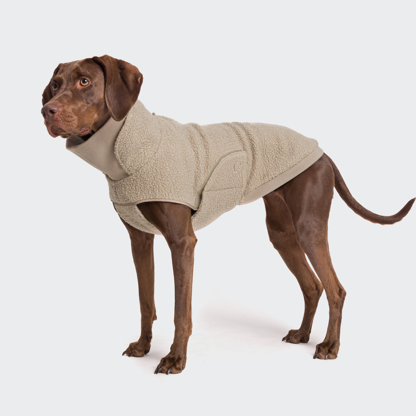 Dog pullover Gotland Beige