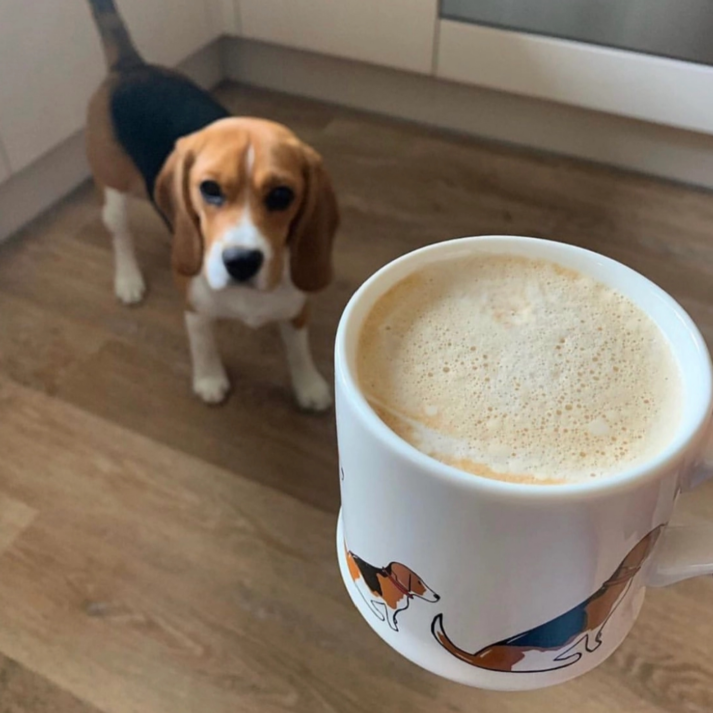 Hundetasse mit Beaglemotiv