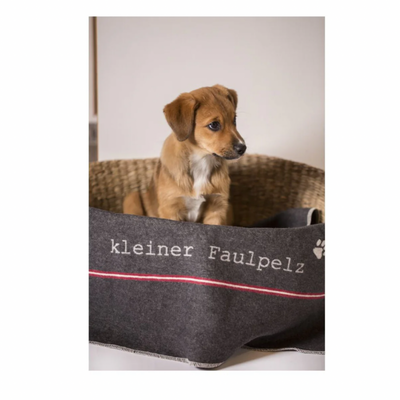 Hundedecke ,,Kleiner Faulpelz''