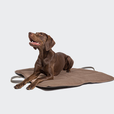 Dog Travel Bed Canvas Black