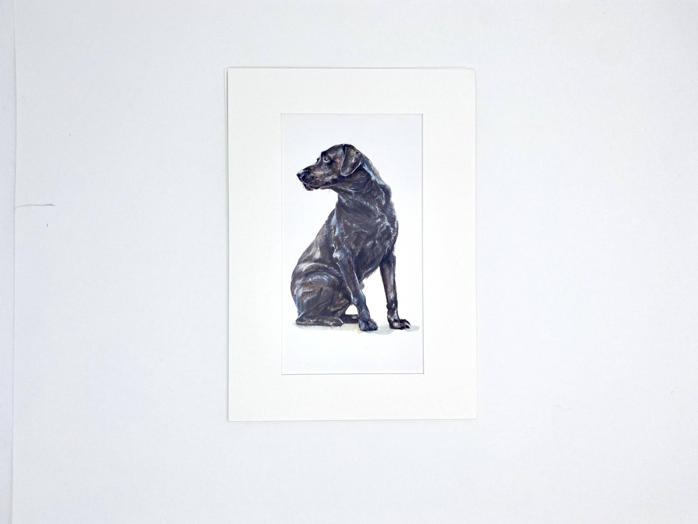 Susel & Co Black Lab - Kunstdruck